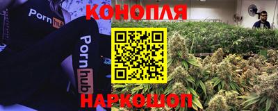 молекула духа Дубна