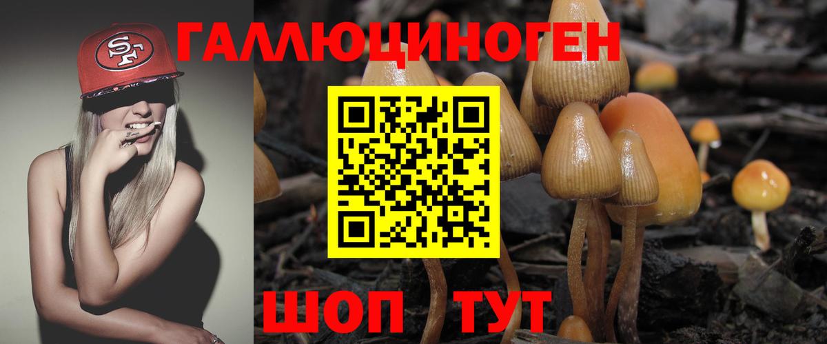 Гай  Галлюциногенные грибы Magic Shrooms  Вход с VPN 